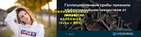 гидра Куровское