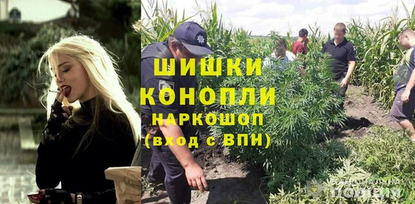 молекула духа Куртамыш
